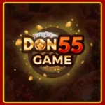 DON55 Game