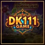 DK111 Game